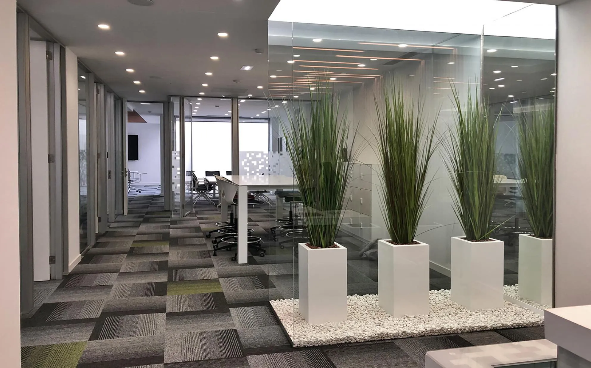 Pasillo central con jardineras y despachos acristalados en la reforma de la sede SATSE, Palma