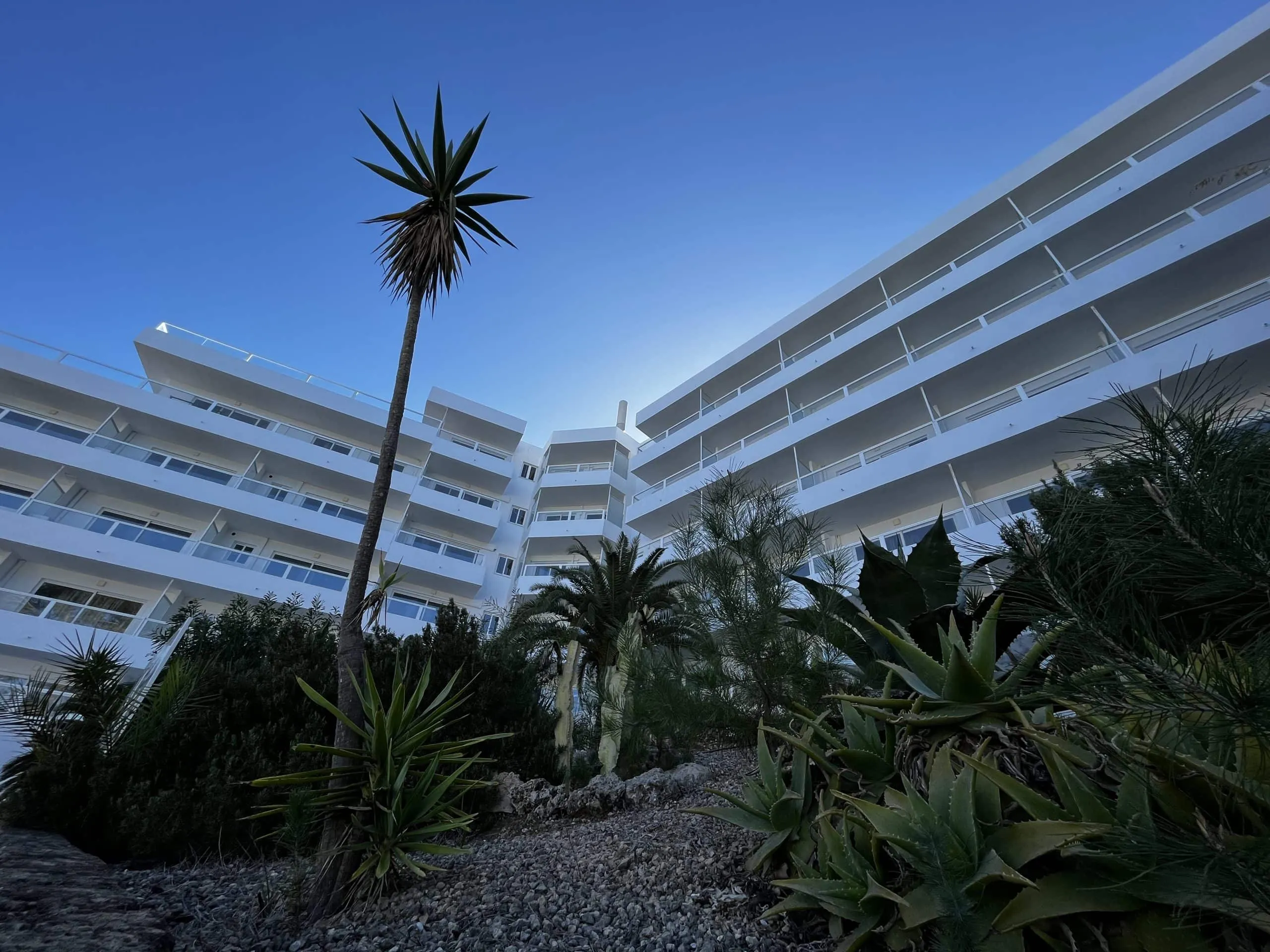 Jardín con palmera y yucas frente a la fachada del Hotel Portofino en Santa Ponça, Mallorca